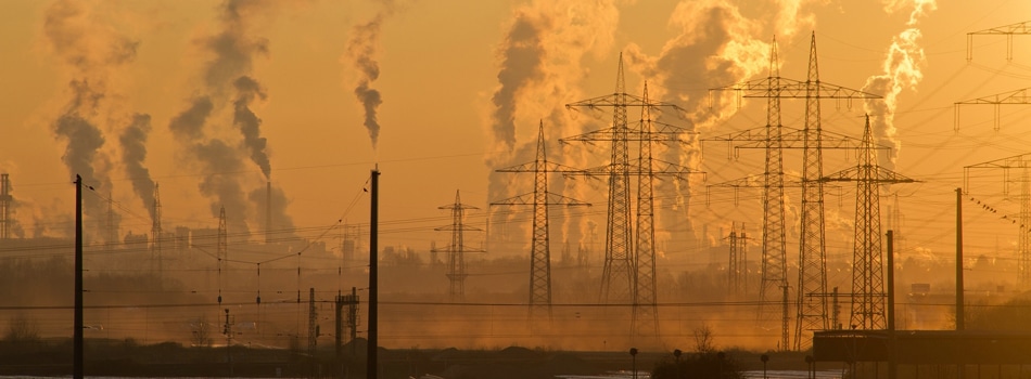 Challenging climate change in Bangladesh | University of Sussex